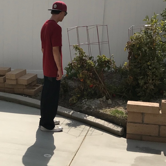 Meet your Posher, Jake - Picture 1 of 1